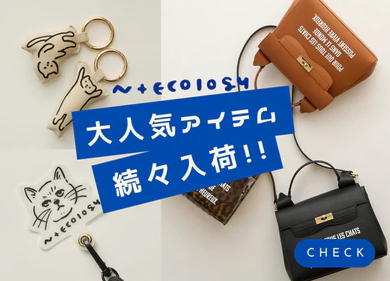 CORRECT-Official-Online-Store-–-CORRECT-Official-Online-Store-03-13-2026_02_53_PM